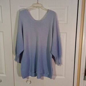 Terra & Sky Women's Light Gray Knit Sweater